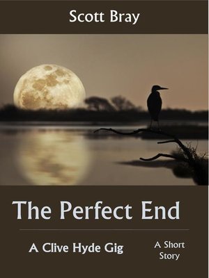 cover image of The Perfect End